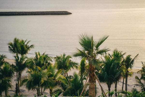 Quels sont les avantages de louer une maison de vacances en Bretagne avec des ateliers de cuisine et des randonnées côtières?